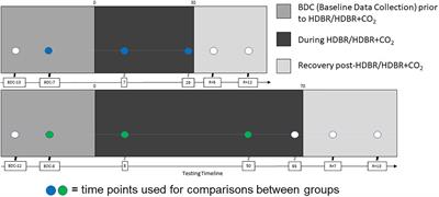 Head-Down-Tilt Bed Rest With Elevated CO2: Effects of a Pilot <mark class="highlighted">Spaceflight Analog</mark> on Neural Function and Performance During a Cognitive-Motor Dual Task